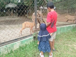 1. Semarang Zoo Hadirkan Tiket Spesial HUT ke-479 Semarang dan May Day 2026