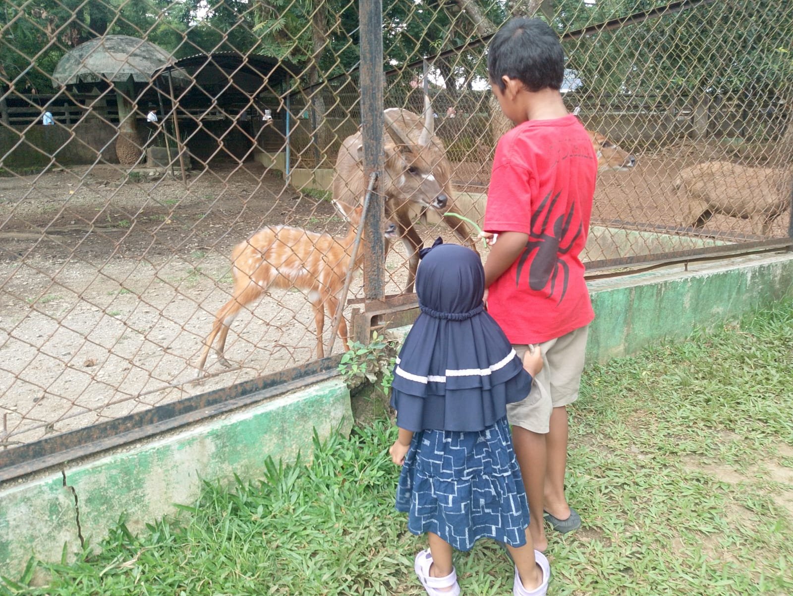 1. Semarang Zoo Hadirkan Tiket Spesial HUT ke-479 Semarang dan May Day 2026