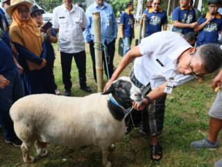 Kepala Dinas Pertanian dan Peternakan Provinsi Jawa Tengah, Defransisco Dasilva Tavares. (dok Pemprov Jateng)