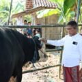 Sekda Jateng Sumarno Salurkan Hewan Kurban untuk Korban Banjir Grobogan