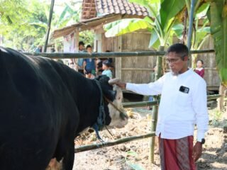 Sekda Jateng Sumarno Salurkan Hewan Kurban untuk Korban Banjir Grobogan