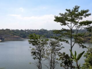 Mampu Mengairi Ribuan hektare Lahan Pertanian, Bendungan Jlantah Pekuat Ketahanan Pangan Jateng