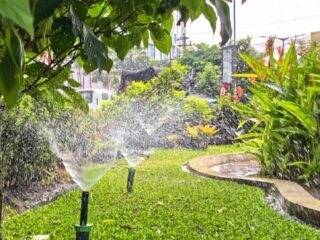 Musim Kemarau, Wali Kota Agustina Perluas Penyiraman Otomatis untuk Rawat Taman Kota