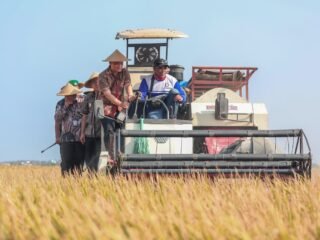 Produksi Padi Jateng Tembus 6,69 Juta Ton, Luthfi Optimistis Target 10,5 Juta Ton Tercapai