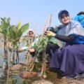 Inovasi Ekosistem Hijau PLN Indonesia Power di Pesisir Semarang