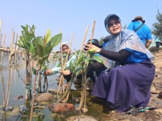 Inovasi Ekosistem Hijau PLN Indonesia Power di Pesisir Semarang