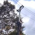 PLN Icon Plus Lakukan Perapihan Kabel Jaringan di Wonosobo, Jaga Keandalan Infrastruktur